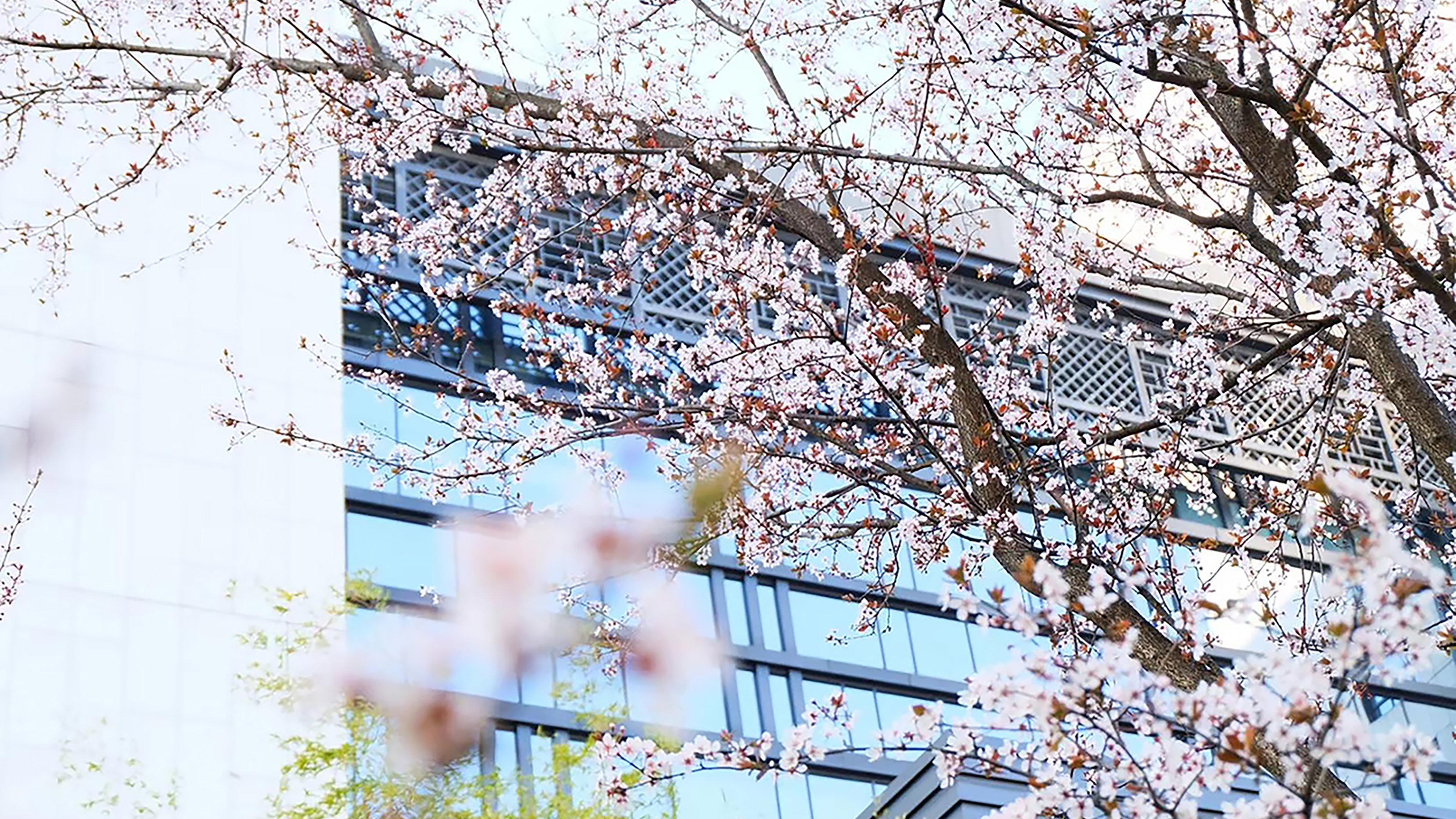 Crowne Plaza Huangshan Yucheng By Ihg Εξωτερικό φωτογραφία